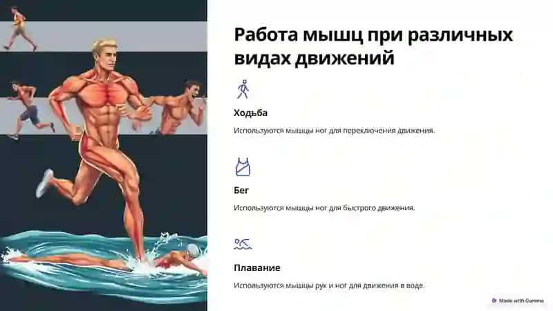 Иш ва мускуллар биомеханика: Лесгафтнинг маълумотлари 4