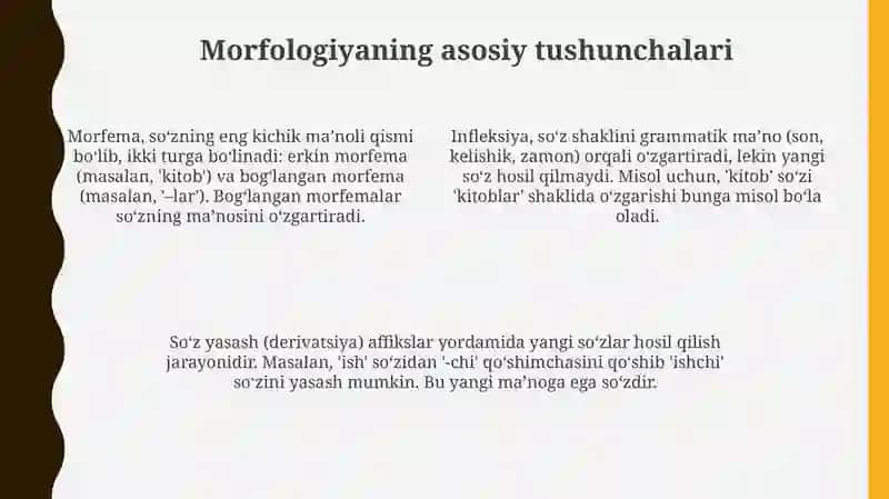 Morfologiya va uning boʻlimlari 4