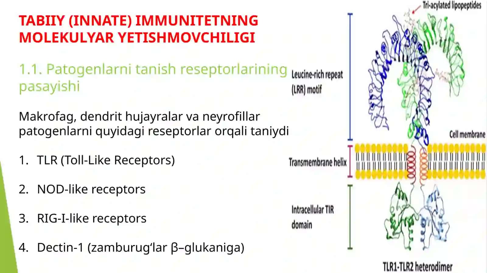 immun tanqislikda opportunistik infeksiyalar kelib chiqishining molekulyar mexanizmi 4