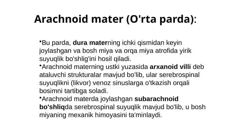 Bosh Miya Pardalari (Meninges) 4
