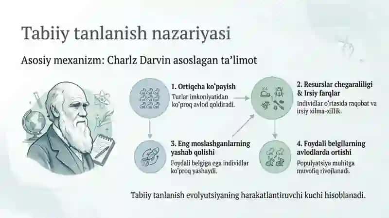 Tabiiy va jinsiy tanlanish nazariyalari 4