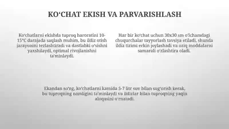 Ko‘p yillik gulli o‘simliklarni yetishtirish texnologiyasi 4