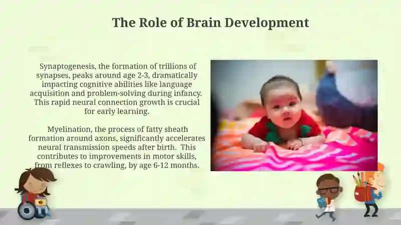 Develepment of Congnitive and Movment Functions During Infancy 4