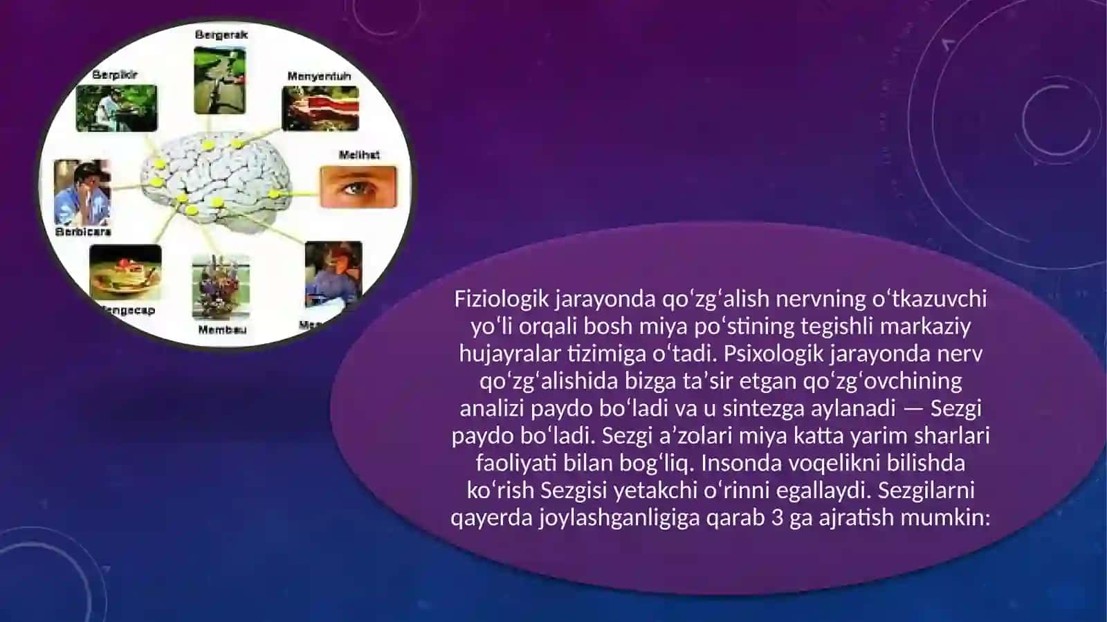 SEZGI VA IDROKNING MOHIYATI. FIZIOLOGIYASI 4
