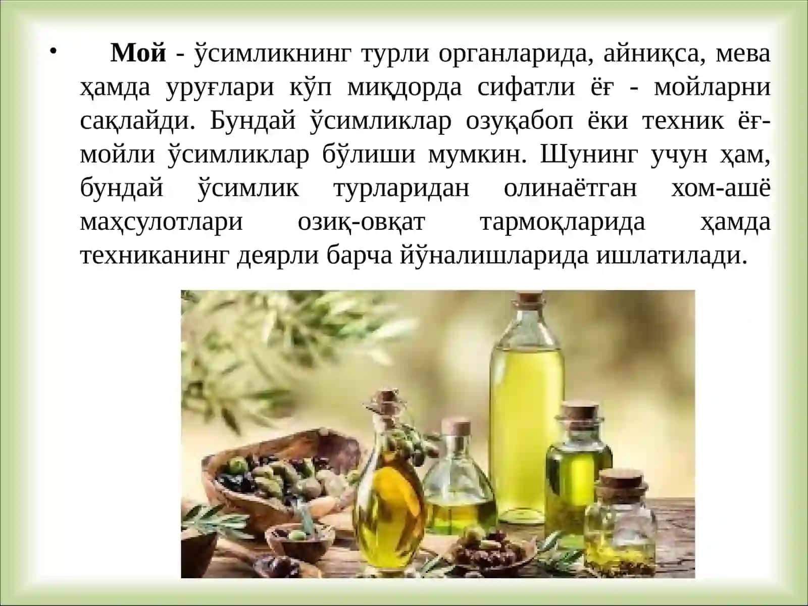 Ўзбекистон фойдали ўсимликлар: МОЙЛИ, ЭФИРМОЙЛИ, ОШЛОВЧИ, САПОНИН ТУТУВЧИ ЎСИМЛИКЛАР 4