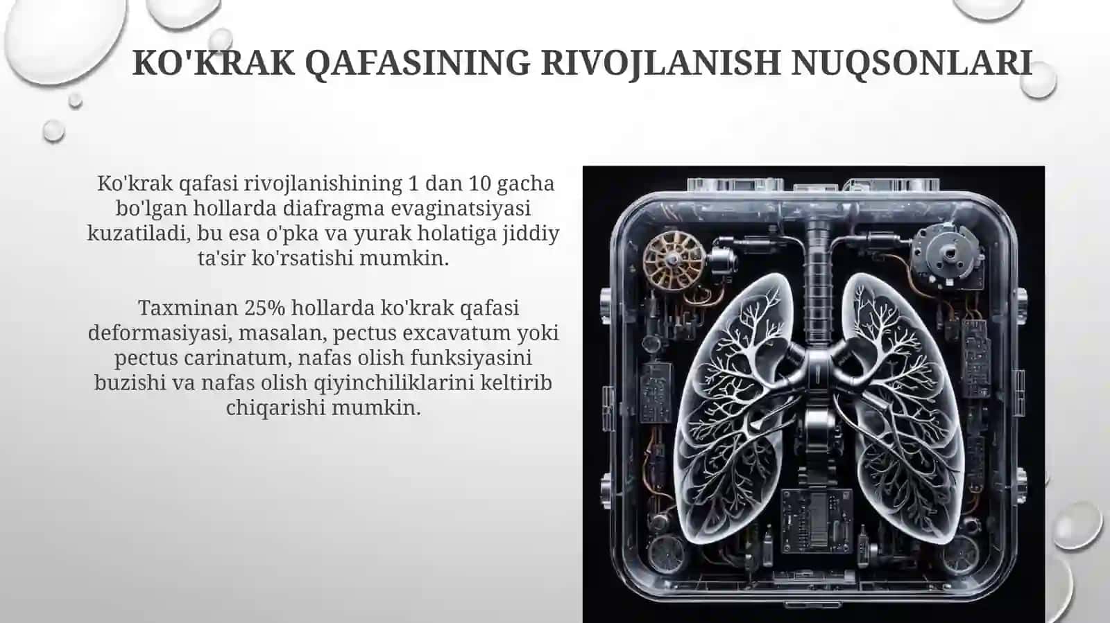 Nafasolish jarayoni. Nafasa'zolarining rentgen anatomiyasi va rivojlanish nuqsonlari 4