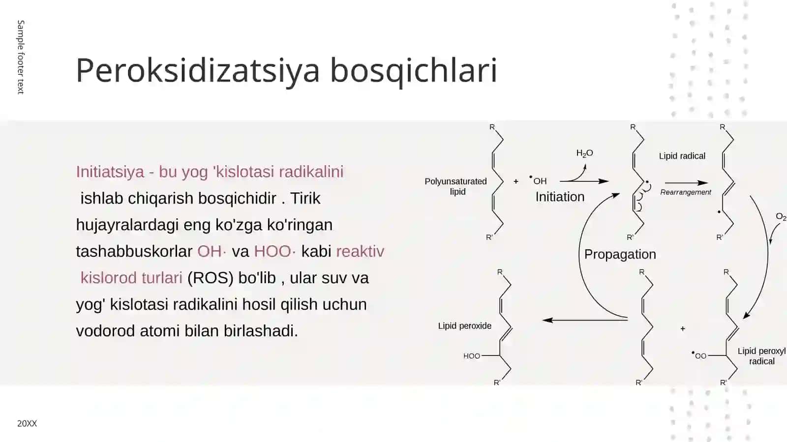 Lipidlarni peroksidlanishi, va hujayra shikastlanishi 4