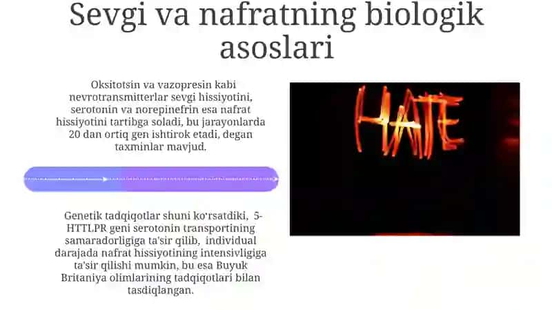 Sevgi va Nafratning Madaniy Ifodasi 4