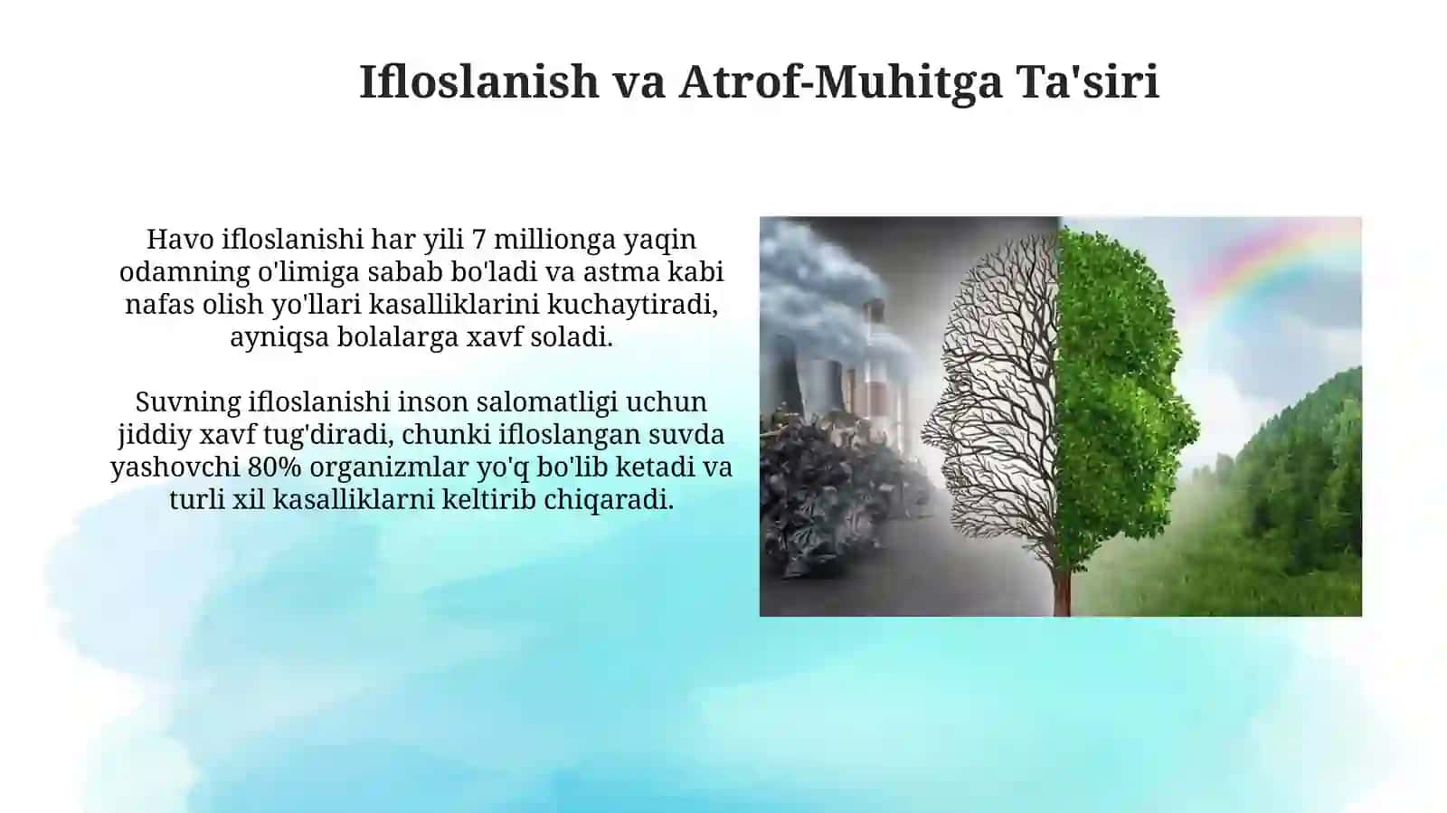 Ekologik Muammolarning Ta'rifi va Turlari 4