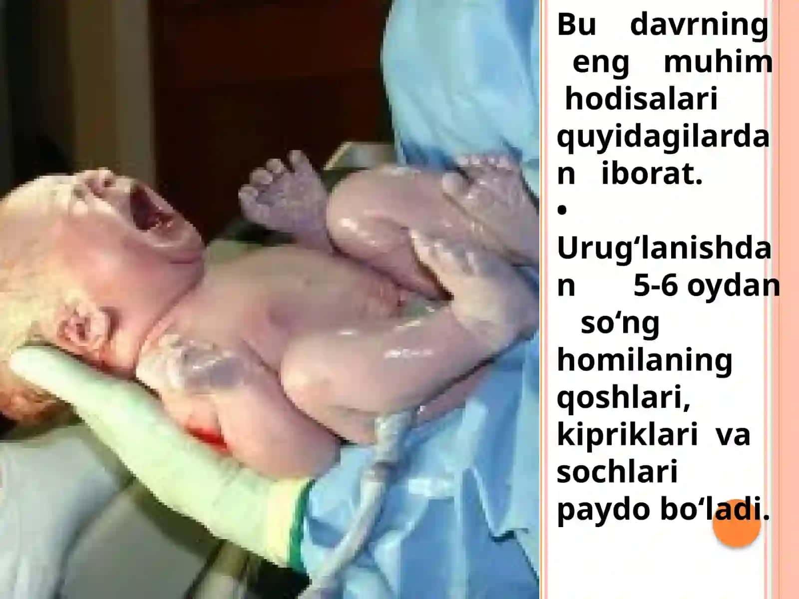 Ontogenezning ilkbosqichlari dainsonning psixik rivojlanishiga xos xususiyatlari 4