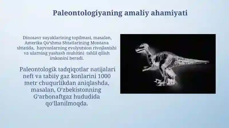 Paleontologiya va iqlim o'zgarishlari 4