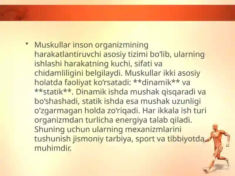 MUSKULLAR 4
