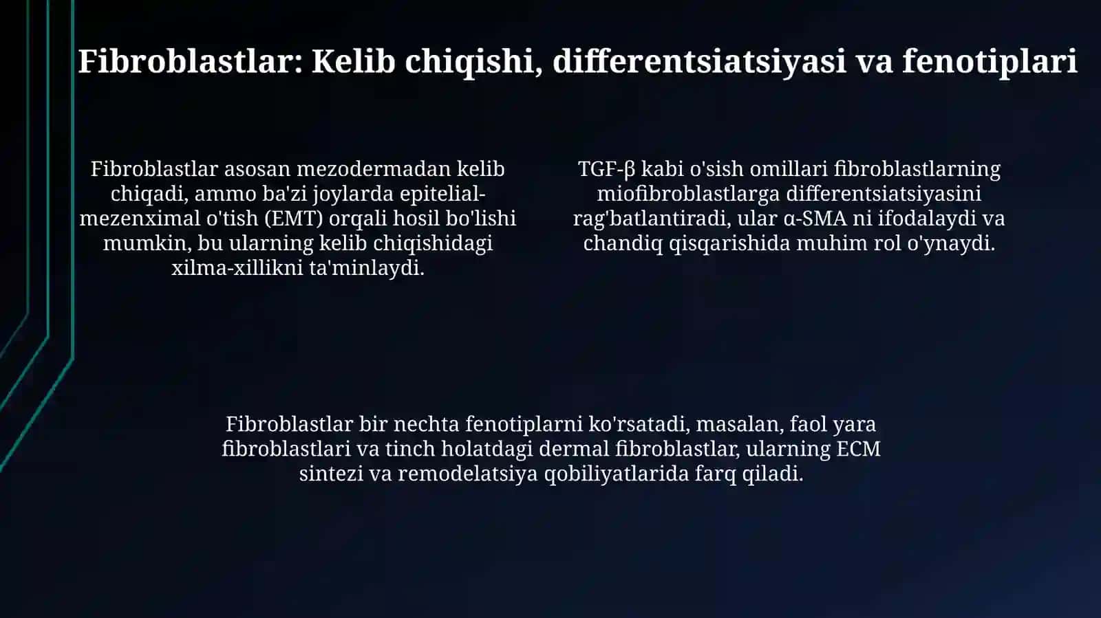 Fibroblastlar va Chandiq Hosil Boʻlishdagi Roli 4