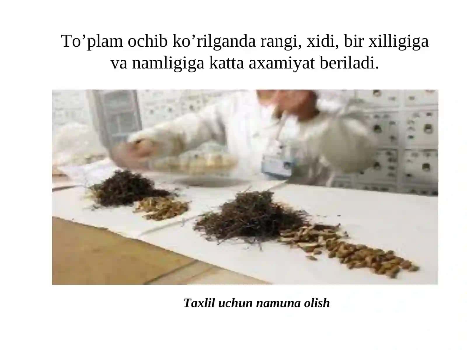 Dorivor o‘simlik xom ashyosini me'yoriy xujjat asosida qabul qilish va taxlil uchun xom ashyo namunasini olish qoidalari 4