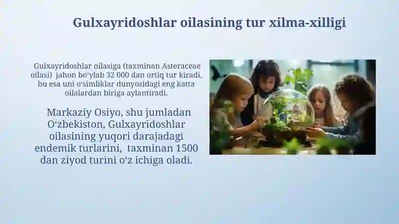 Gulxayridoshlar oilasiga mansub òsimliklarning yer yuzida tarqalishi va tabiatdagi ahamiyati 4