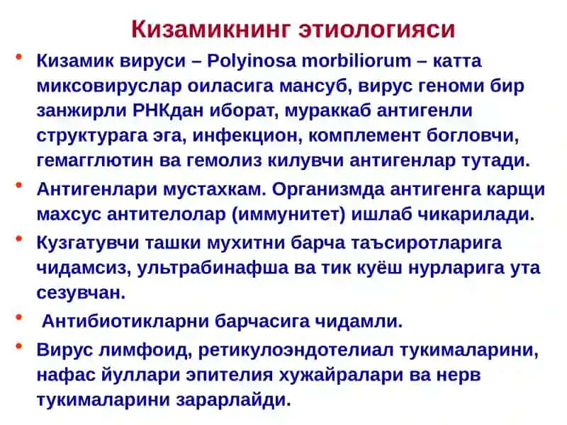Кизамик 4