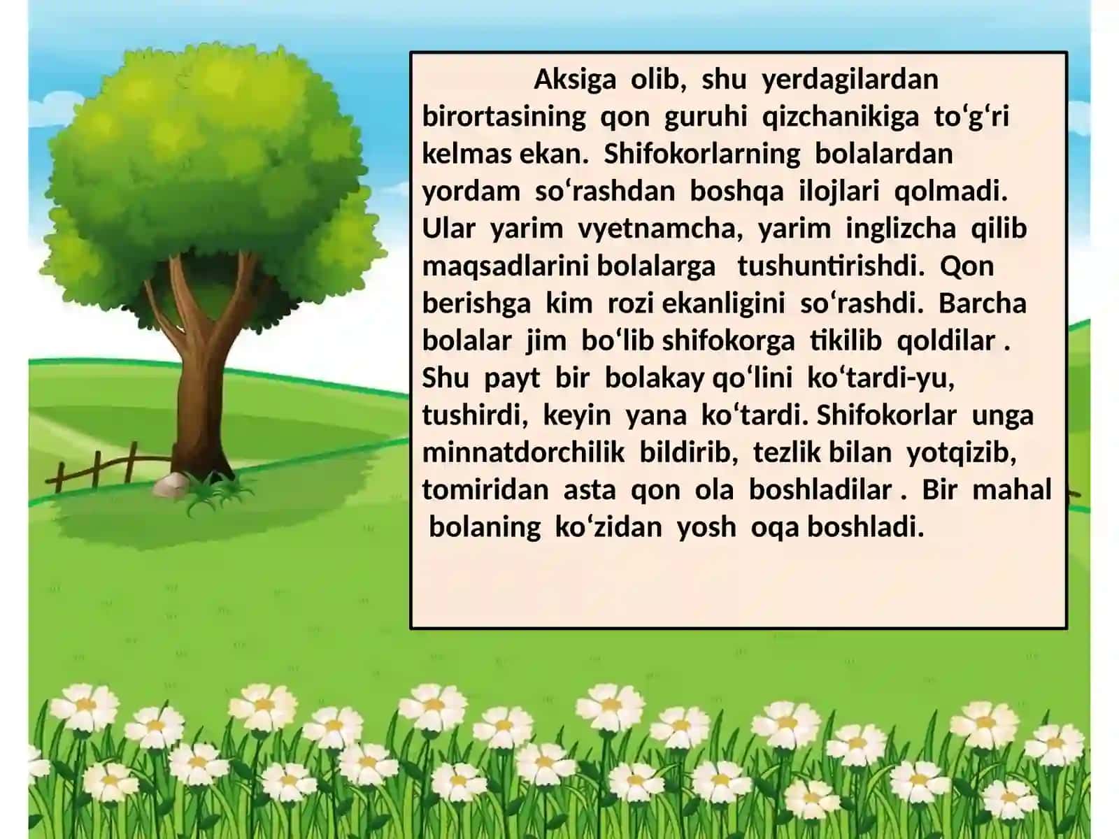 DIUM Boshlang’ich sinfo’qituvchisi 4