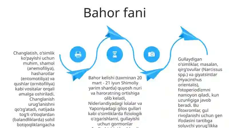 Bahor gullari kompozitsiyalari (mart-may) 4