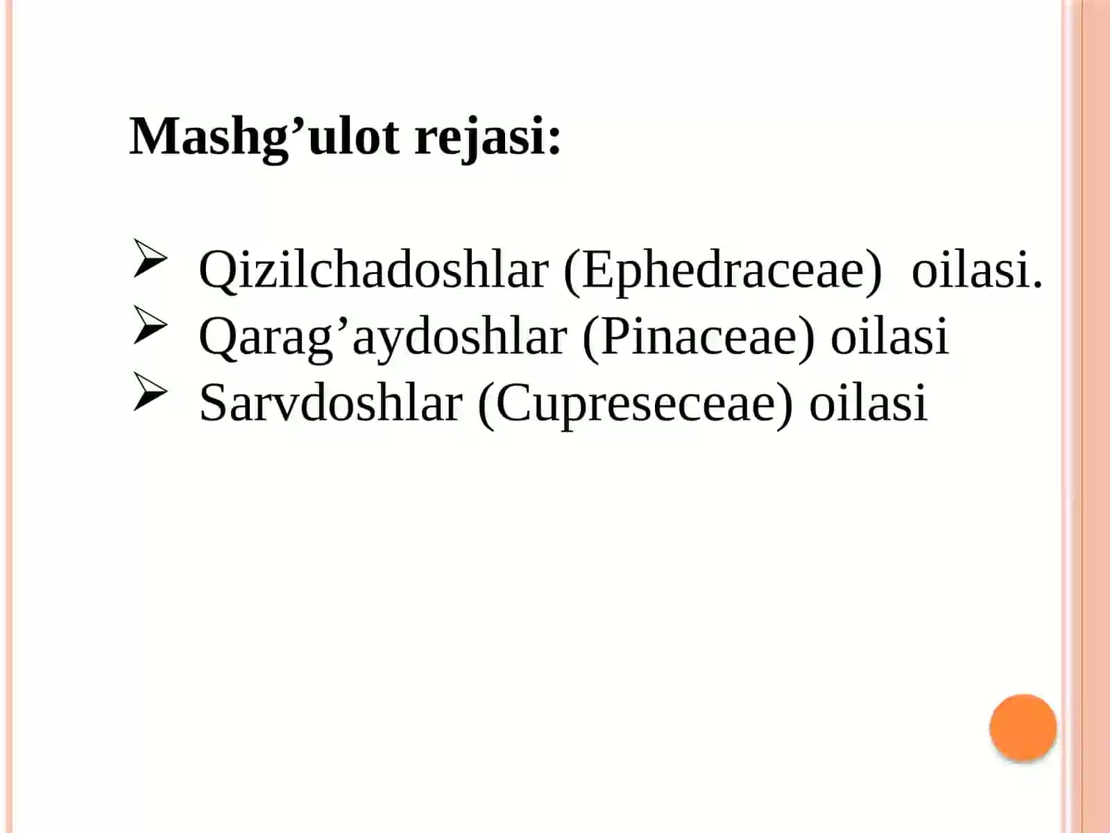 QIZILCHADOSHLAR (EPHEDRACEAE), QARAG‘AYDOSHLAR (PINACEAE) VA SARVDOSHLAR (CUPRESACEAE) OILASI 4
