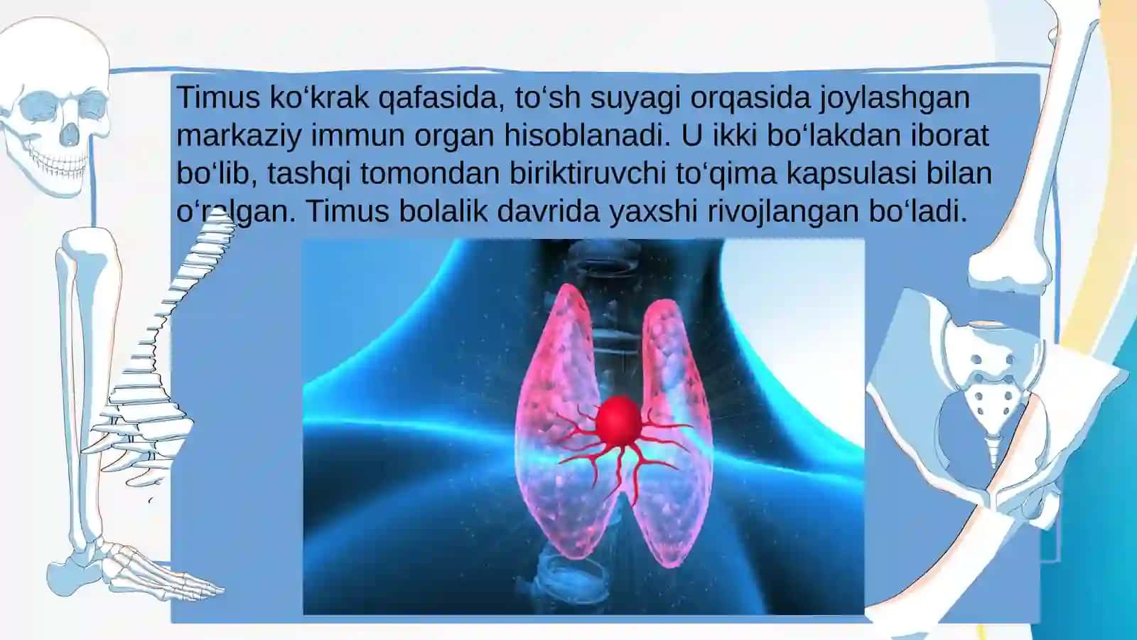 Ruxshona Xolmatovaning Odam Anatomiyasi Fanidan Tayyorlagan Mustaqil Ishi 4