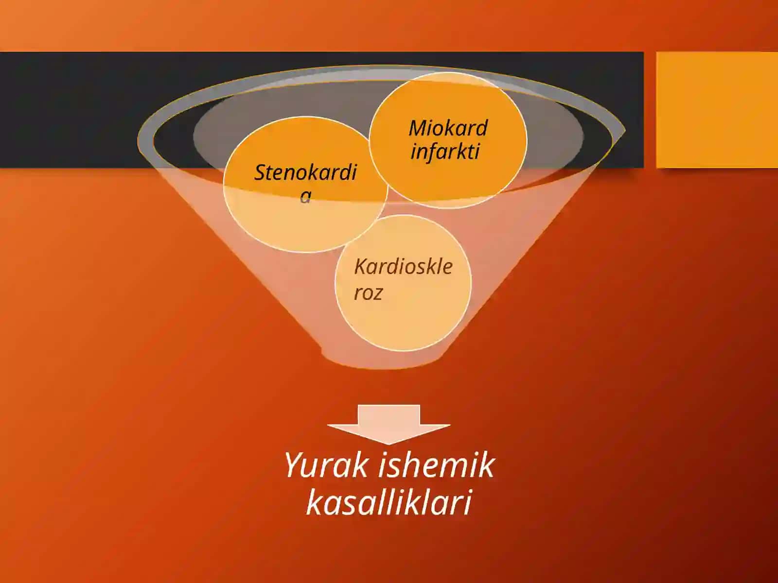 Miokard infarkti.Yurak ishemik kasalligi 4