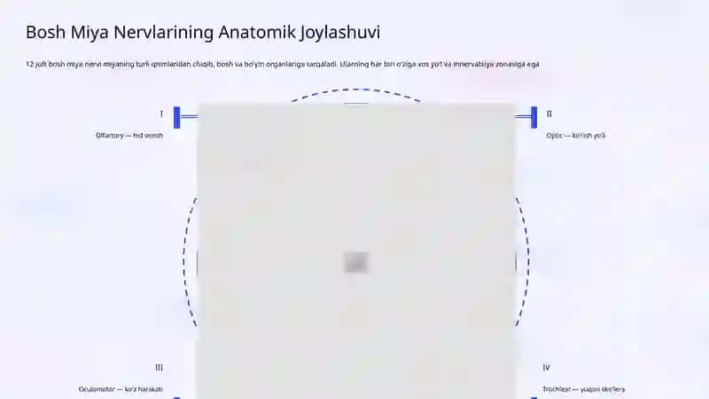 Bosh Miya Nervlarini Tekshirish Usullari 4