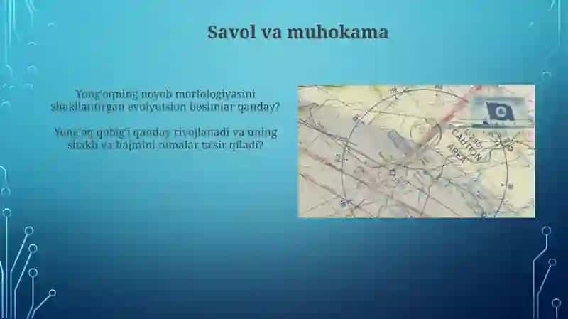 Yong'oq morfologiyasi rivojlanishi 4