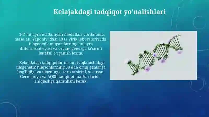 Immun tizimi rivojlanishidagi filogenetik nuqsonlar 4