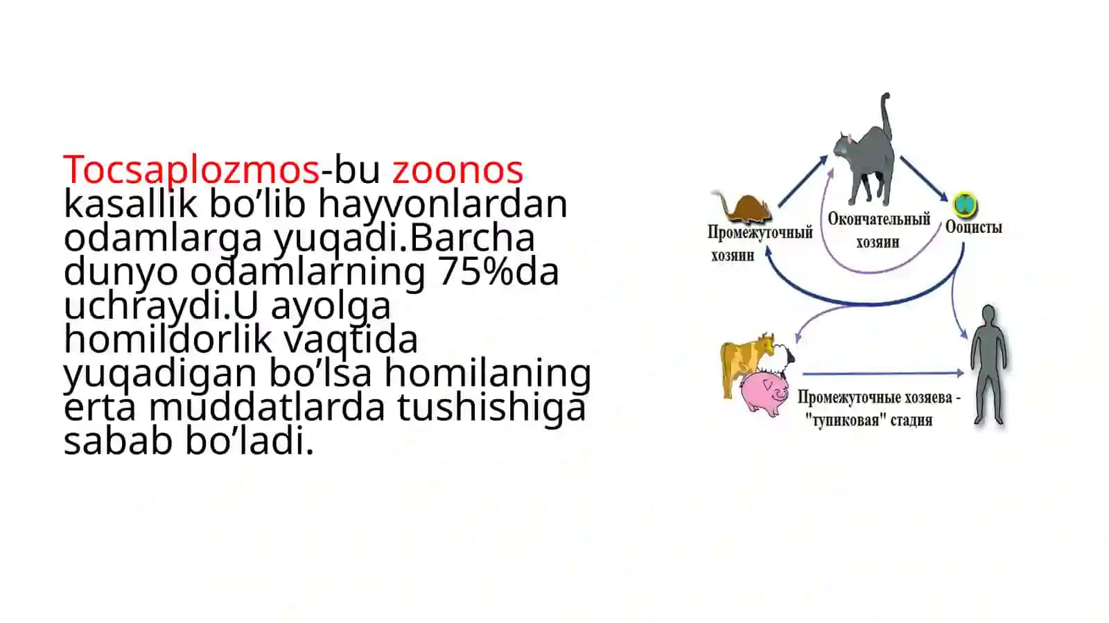 TORCH infeksiyasi 4