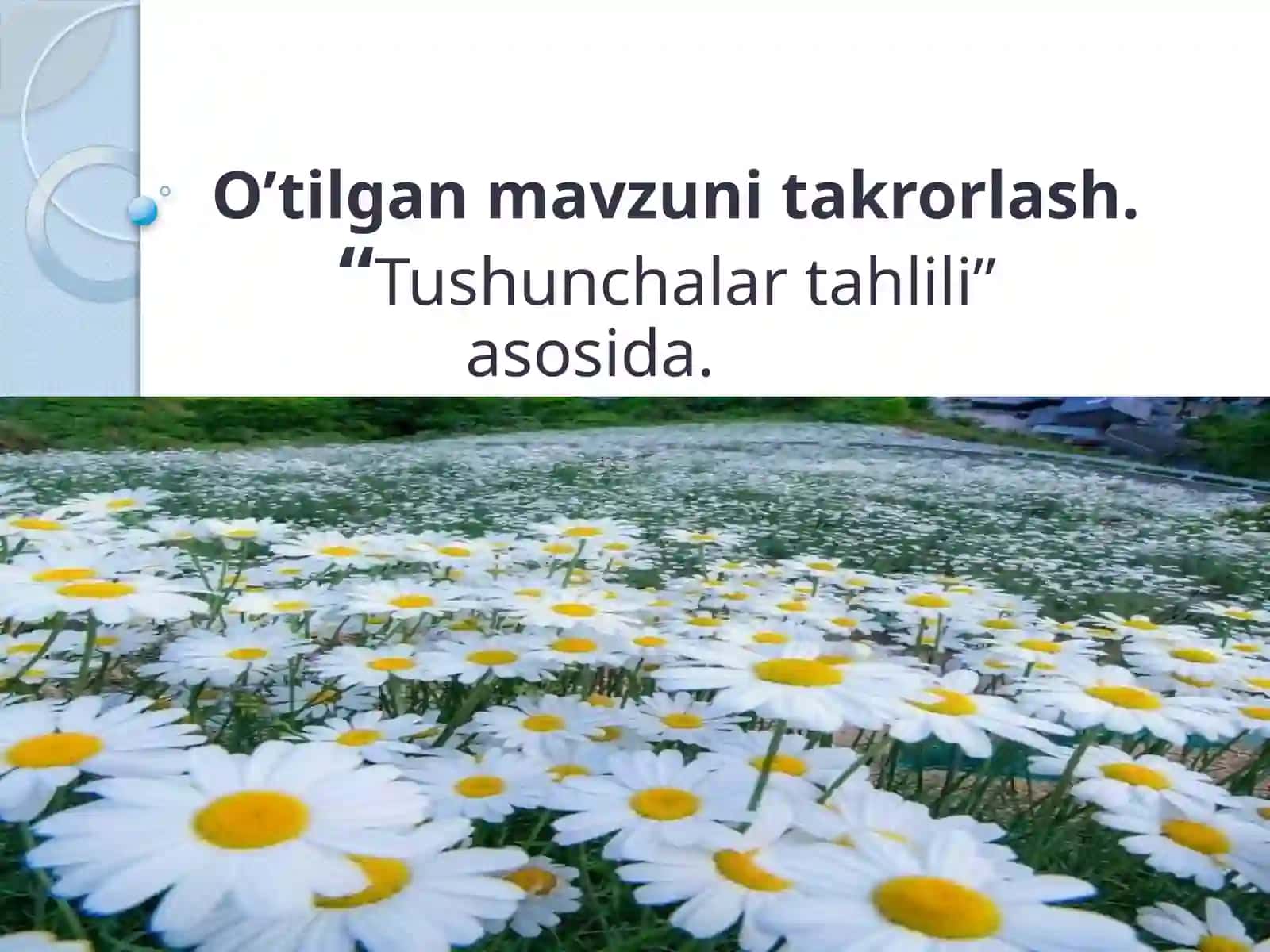 Qushlarningichkituzilishivasezgiorganlari 4