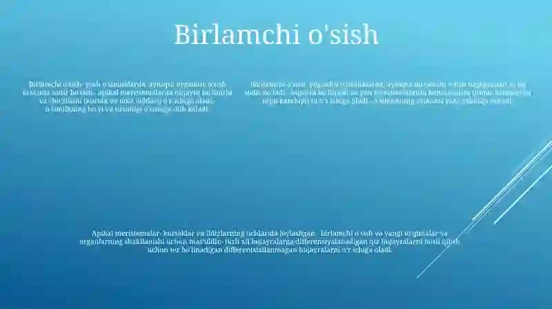 OʻSimliklarda Usish Va Rivojlanishning Asosiy Bosqichlari 4