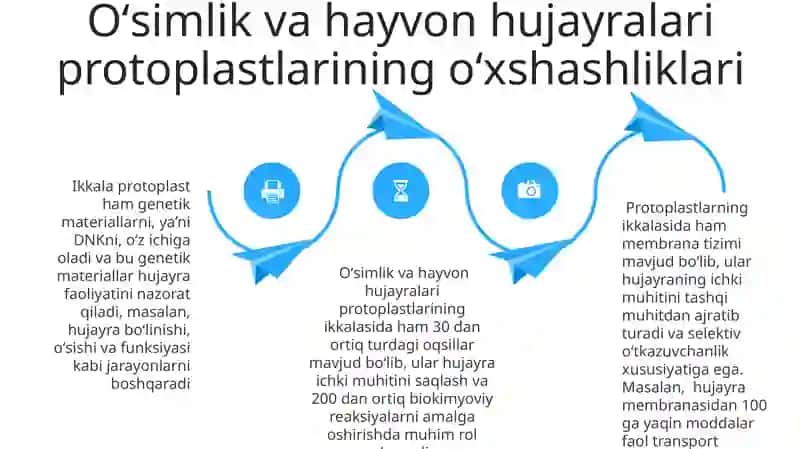 Hujayra protoplastining tarkibiy qismi hamda hayvon hujayrasi bilan oʻzaro solishtirish 4