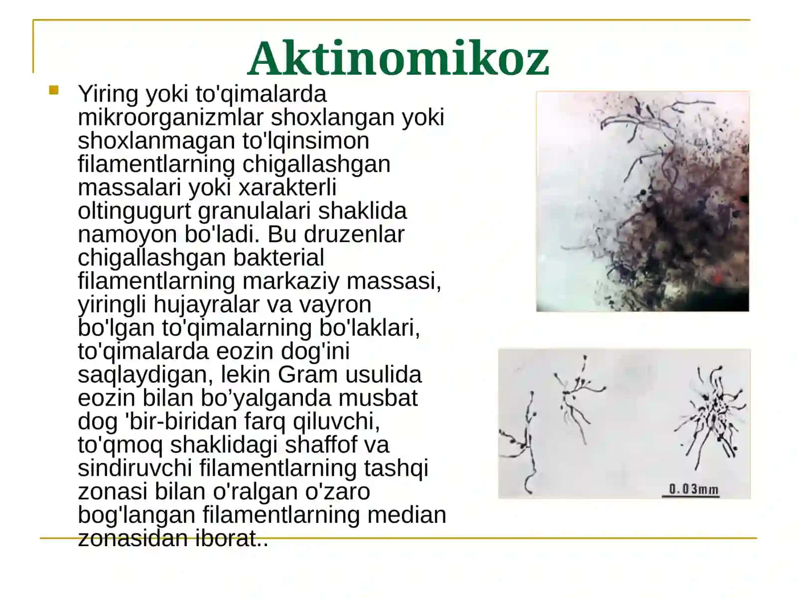 Havo tomchi infeksiya qo'zg'atuvchilari: aktinomikoz, sil 4