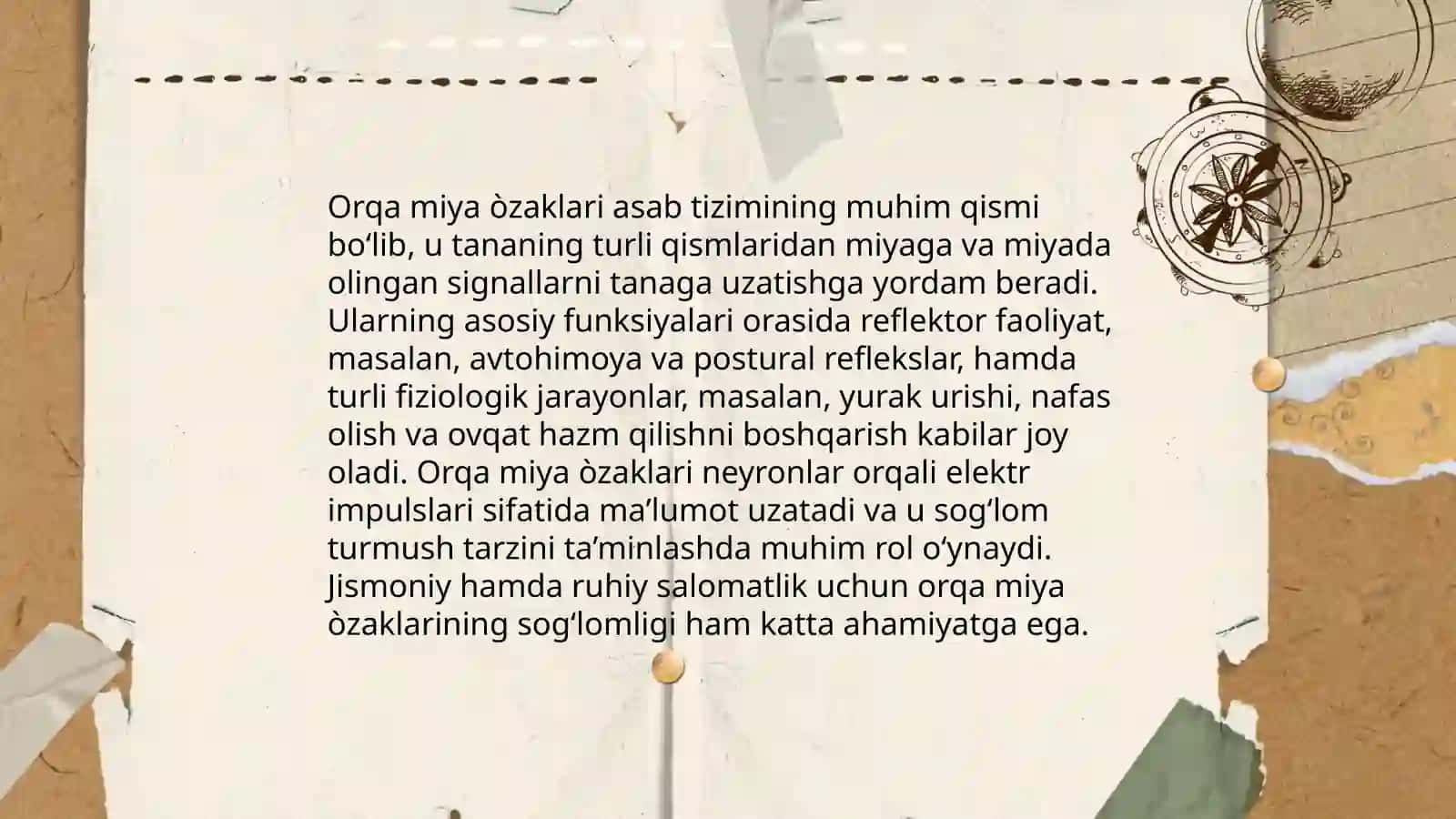 Orqa miya òzaklarining joylashuvi va ularning ahamyati 4