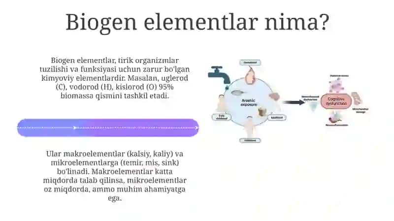 Biogen elementlar konsentratsiyasi o'zgarishi bilan bog'liq endemik va kasb kasalliklari 4
