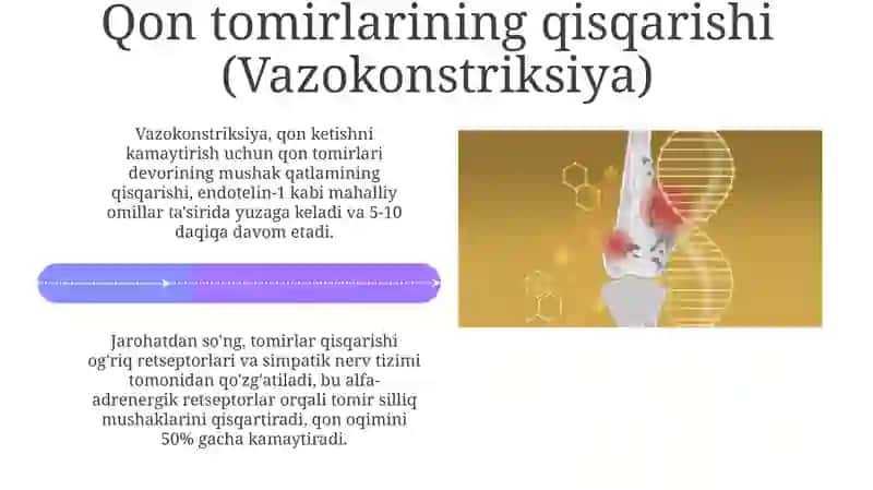 Gemostaz mexanizmlari va uning patalogiyasi 4