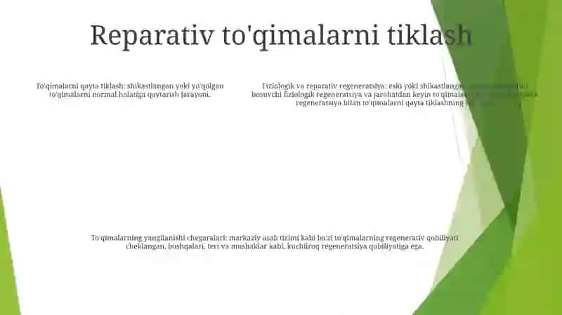 To'Qimalarning Fiziologik Va Reparativ Regenratsiyasi 4