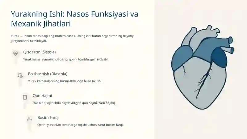 Gemodinamikaning Fizik Masalalari: Kardiologiyaga Kirish 4