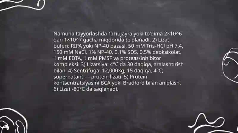 Immunoblot tekshirish usullari 4