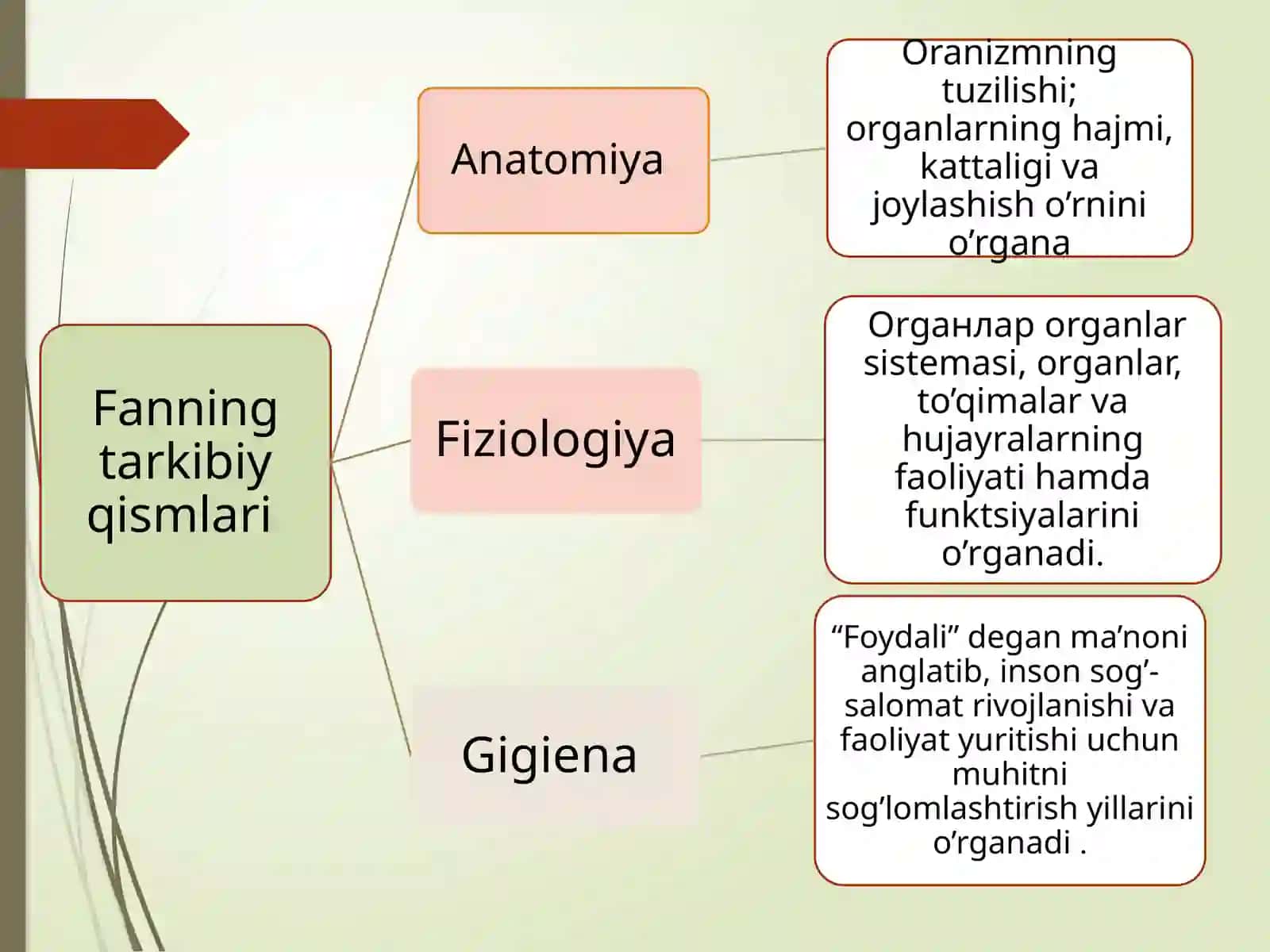 ANATOMYASI FANINING PREDMETI, TARIXI HAMDA BOLALAR O’SISHI VA RIVOJLANISHINING UMUMIY QONUNIYATLARI 4