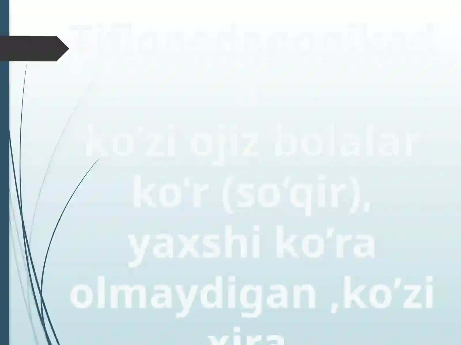 Ko‘rishida nuqsoni bo‘lgan bolalarni inklyuziv ta’lim sharoitida o‘qitish va tarbiyalash 4