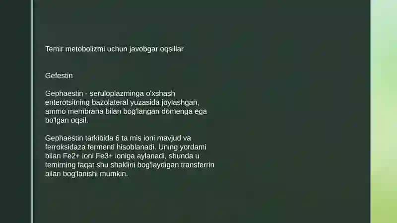 Temir metabolizmi 4