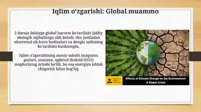 Global ekologik inqirozlar 4
