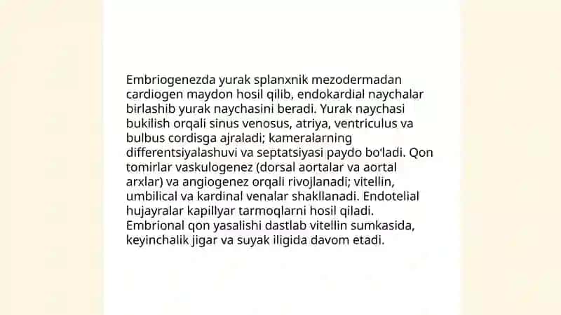 Umurtqalilarda nerv tizimi ontogenizi 4