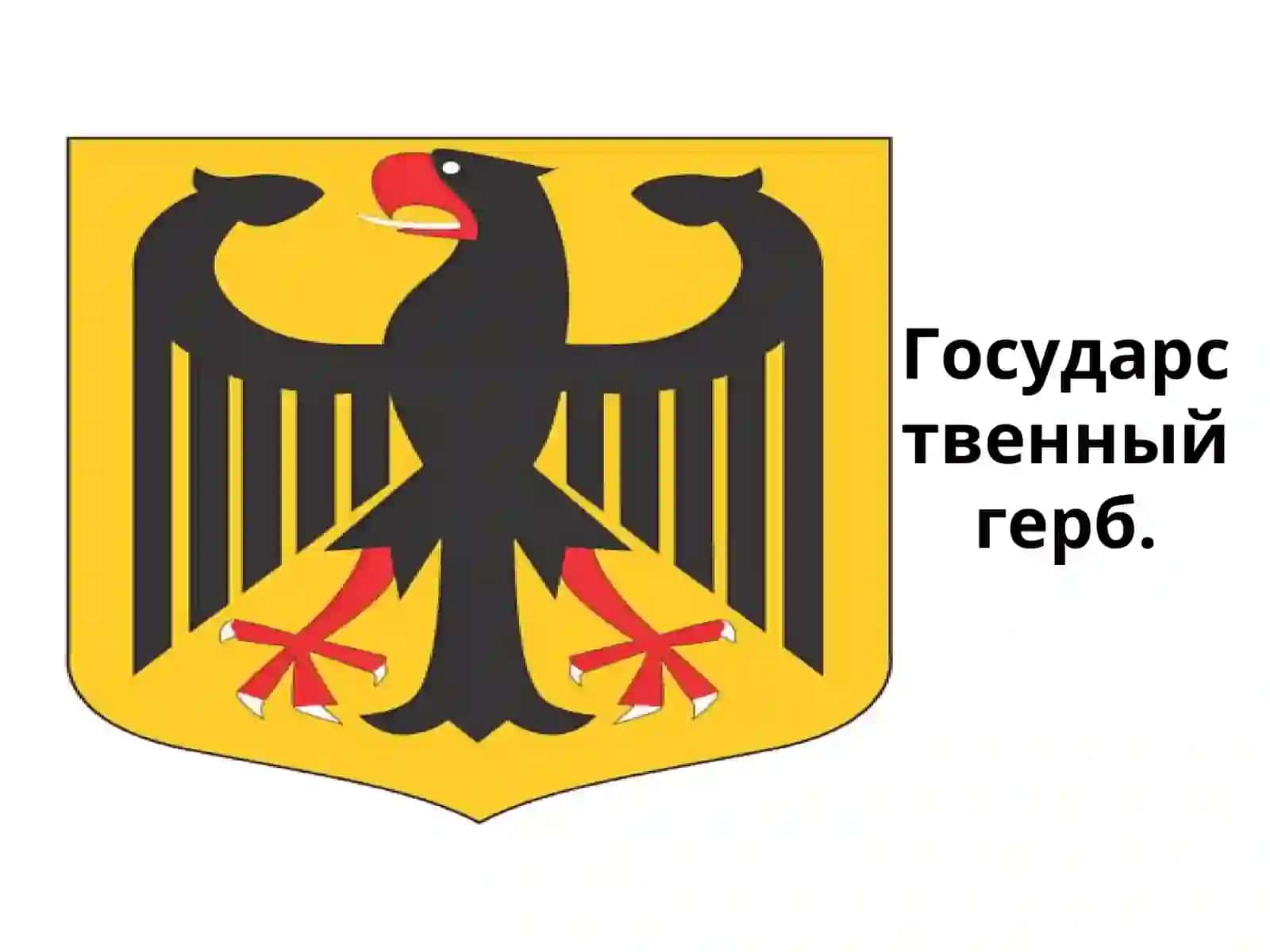 IIJAHON URUSHIDAN SO’NGGERMANIYA 4