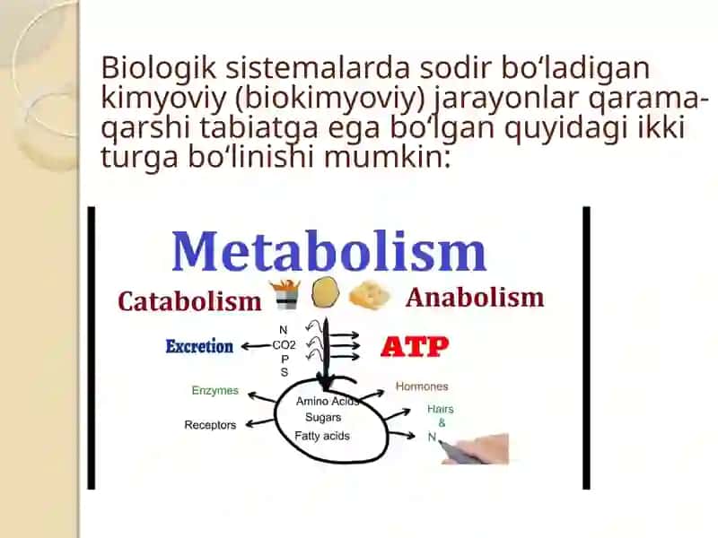 KIMYOVIY TERMODINAMIKA VA BIOENERGETIKANING ILMIY ASOSLARI 4