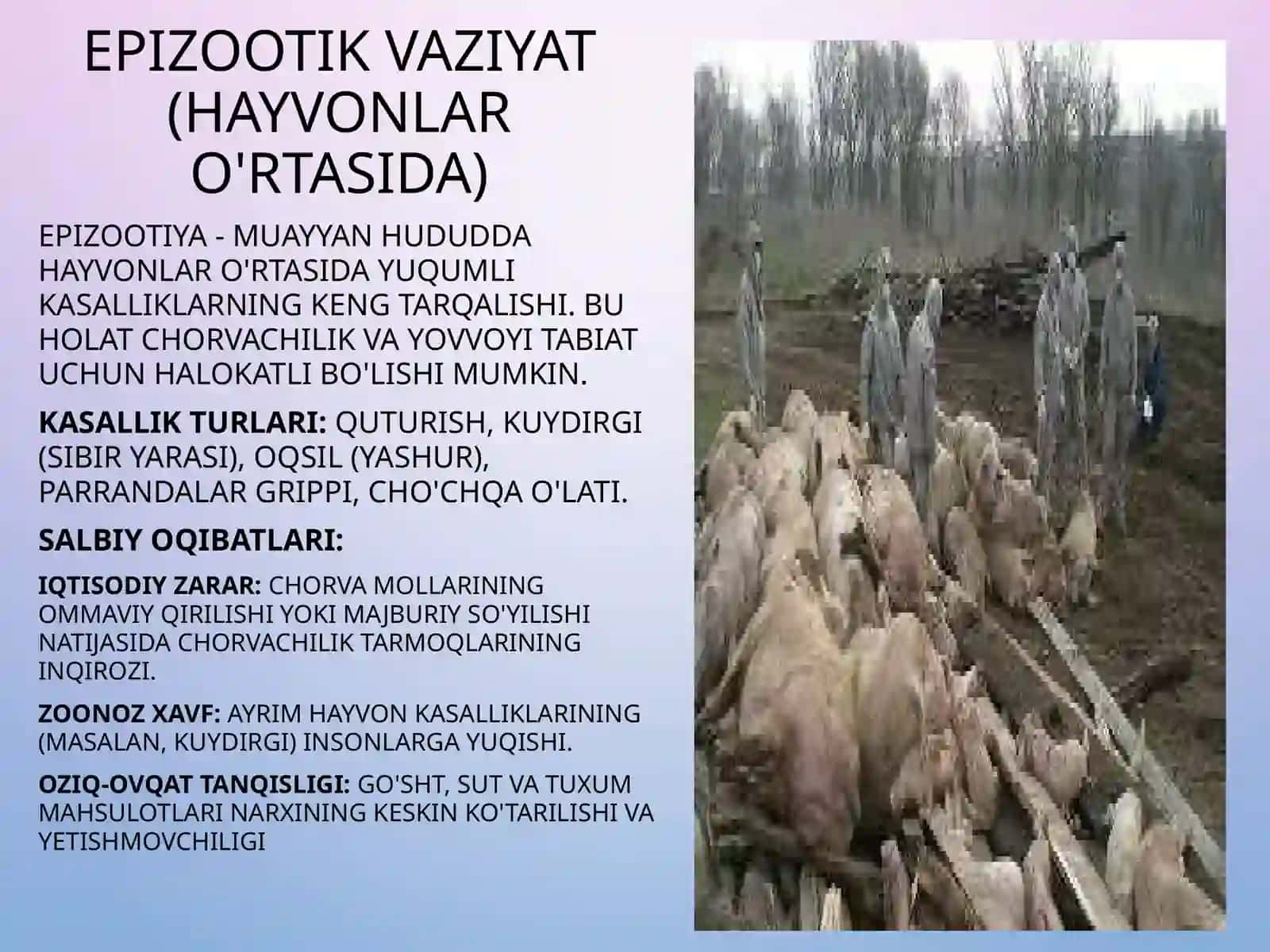 Epidemiologik, epizootik va epifitotik vaziyatlar ularning salbiyo qibatlari 4
