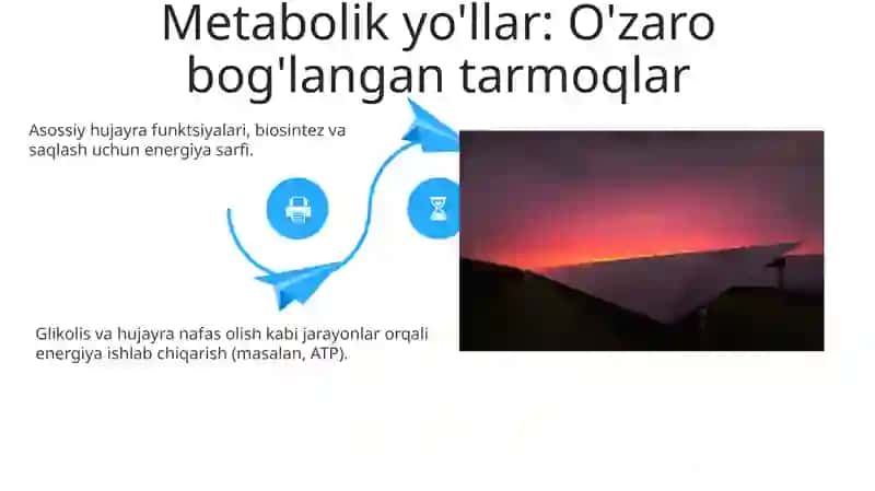 Metabolizm jarayonida energiya hosil bo'lishi va sarflanishi 4