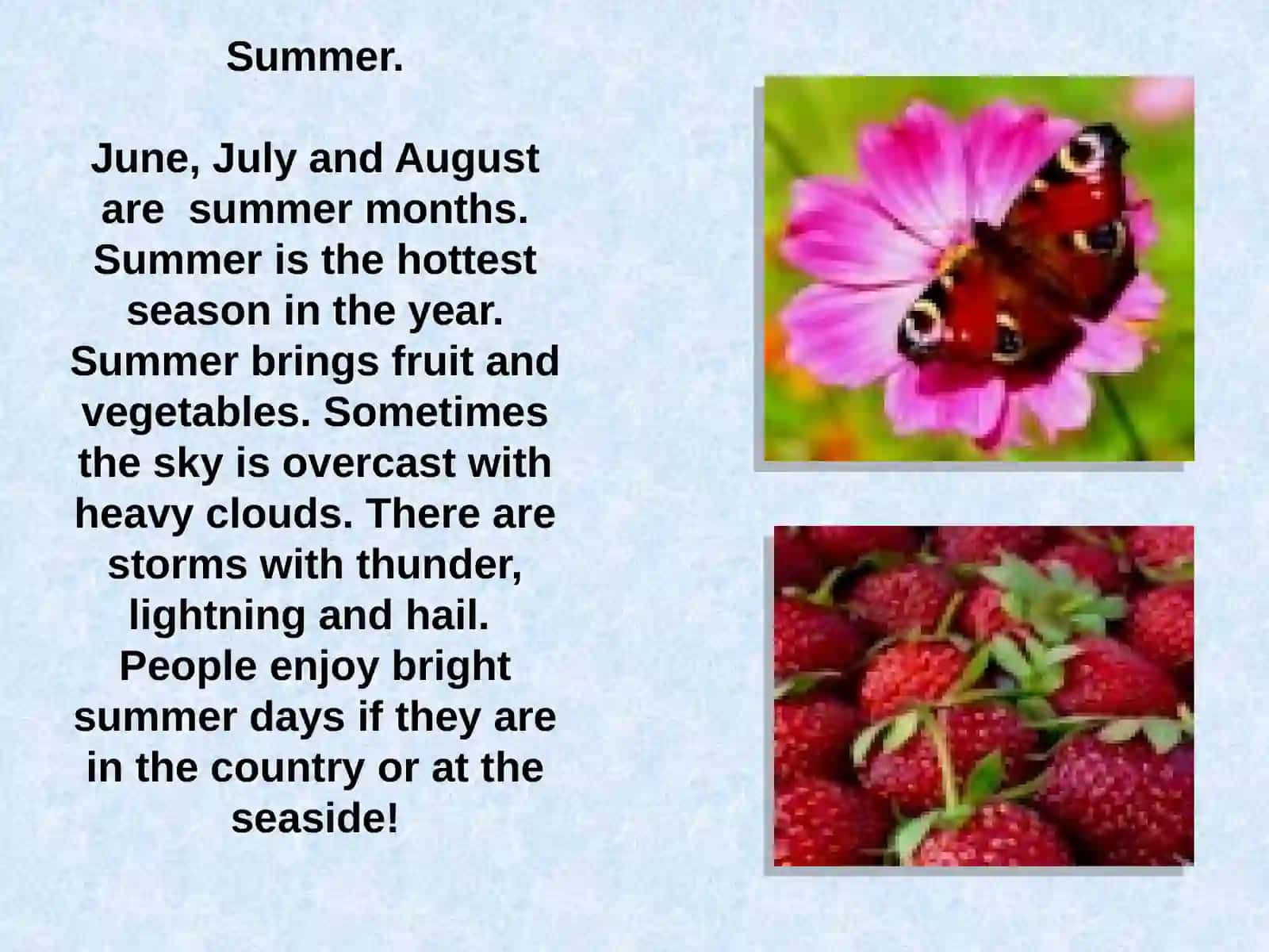 Spring, Summer, Autumn, Winter - Seasons and Weather 4