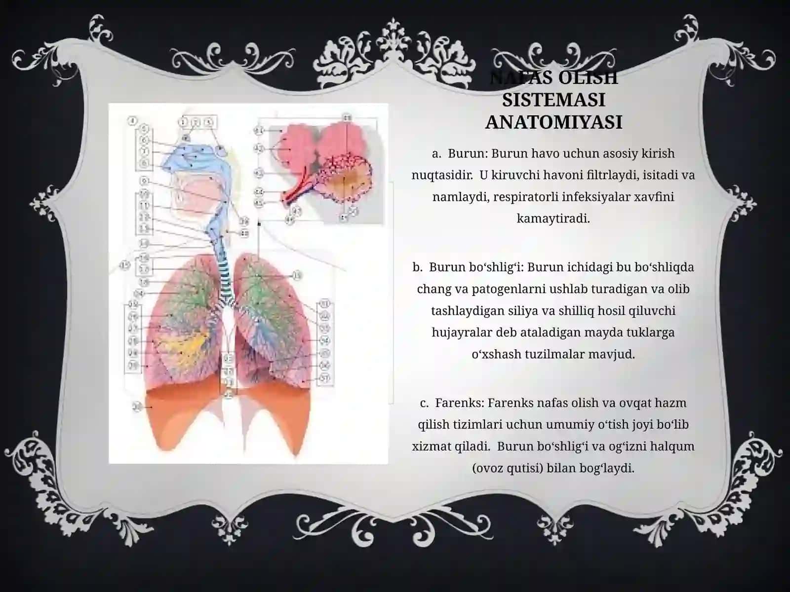 NAFAS OLISH SISTEMASI FAOLIYATINING YOSH HUSUSIYATI VA GIGIYENASI 4